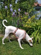 31_neues Geschirr